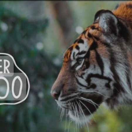 The Beautiful Bungalow Amazing Location For Chester & Zoo Wervin Dış mekan fotoğraf